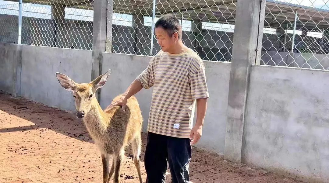 必发365网投